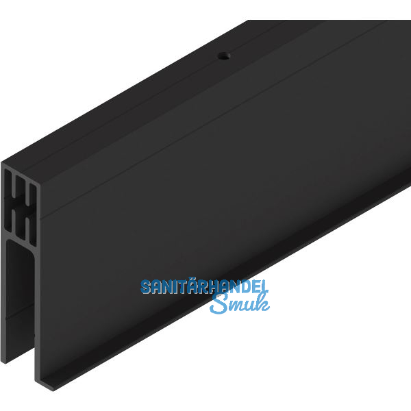 SOLIDO 100/HELM Seitenteilprofil Glas auf Ma� L=6000 mm schwarz matt