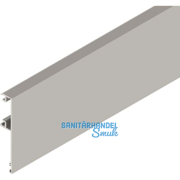 SOLIDO 100/HELM Blende H/G H-75 mm L=6000 mm auf Ma� Edelstahl-Effekt