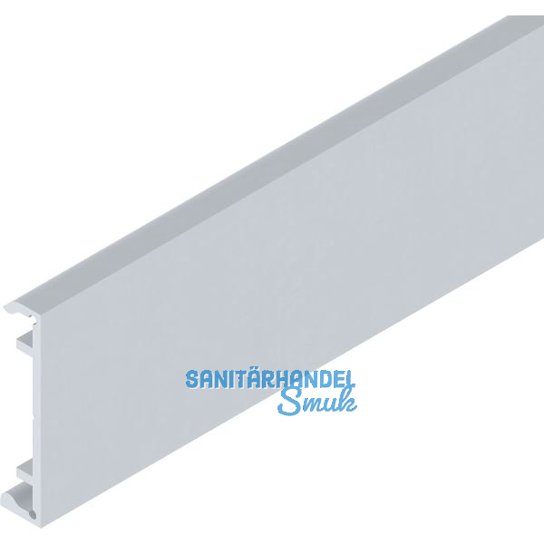 SOLIDO 100/HELM Klipsblende ME minimale Einbauh�he silber eloxiert L=6000 mm