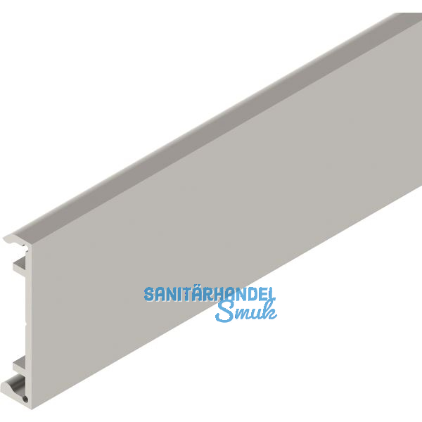 SOLIDO 100/HELM Klipsblende ME minimale Einbauh�he Edelstahl-Effekt L=6000 mm