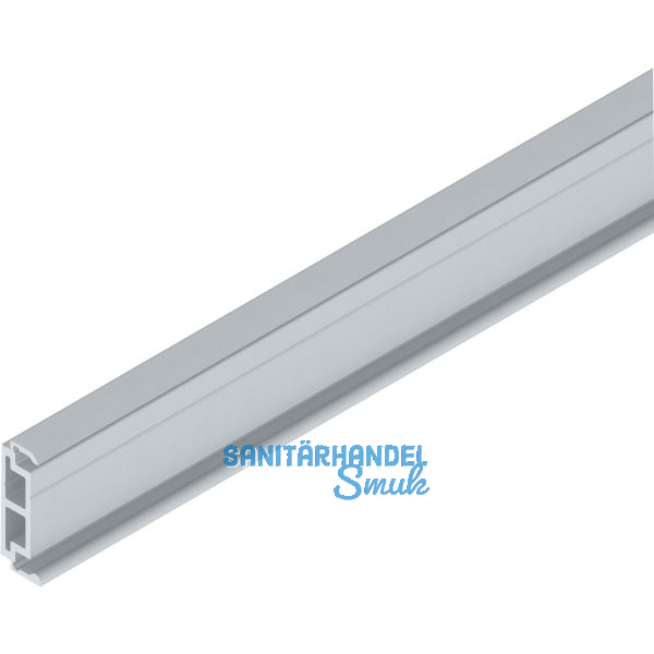 SOLIDO 100/HELM Abstandsprofil 9 mm auf Ma� L=6000 mm silber eloxiert
