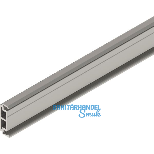 SOLIDO 100/HELM Abstandsprofil 9 mm auf Ma� L=6000 mm Edelstahl-Effekt