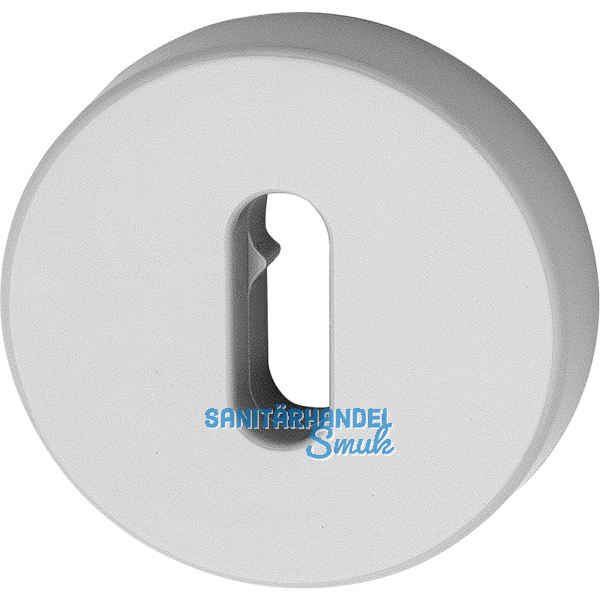 HEWI Schl�sselrosette 306.23 - lichtgrau