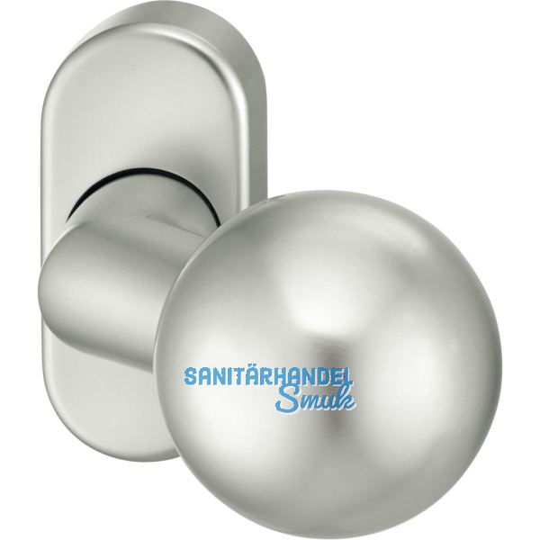 FSB T�rknopf 07 0846 auf Rosette, Aluminium silber eloxiert