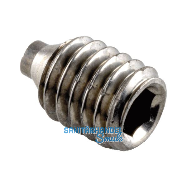 FSB Gewindestift 05 0402 mit Zapfen, M 6 x 9 mm, Edelstahl