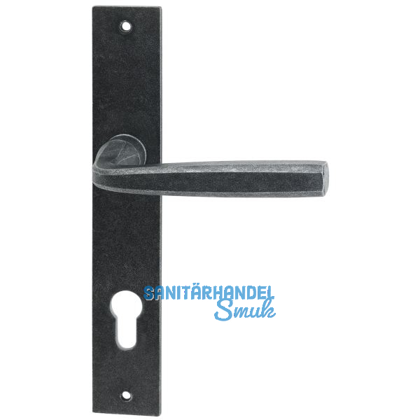 HALC� Dr�ckergarnitur HALL - auf Schild PZ 88, TS-50, schwarz passiviert