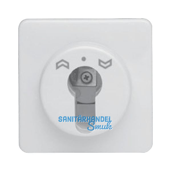 HAUTAU Schl�sseltaster ST 010 f�r Profilhalbzylinder, 24V/230V, Kunststoff wei�