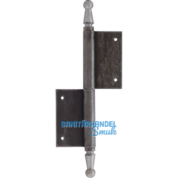 T�rnussband mit Zierkopf, links, 120 x 180 mm, Stahl blank