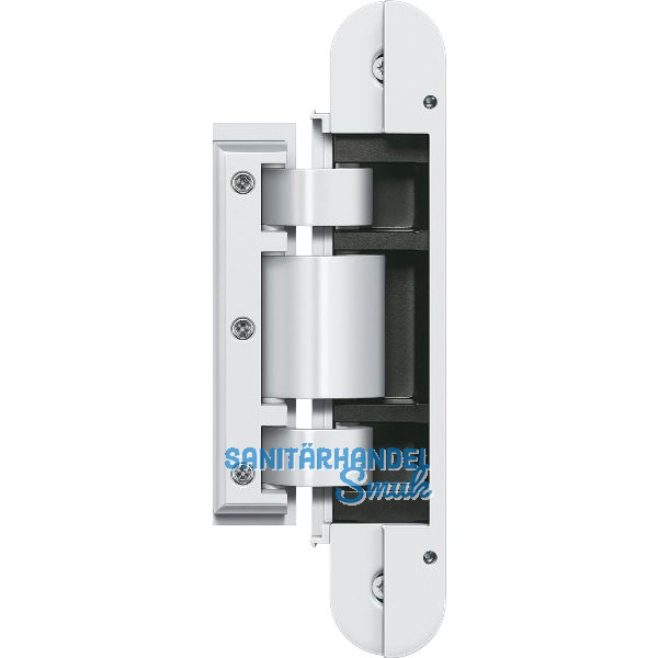 SIMONS Glast�rband TECTUS TEG 310 2D, verdeckt, 60kg,Stahl wei� matt RAL9016