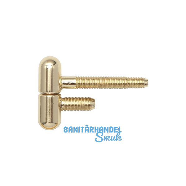 SFS Stahlzargenband 2-tlg. mit Rundkopf, � 16 mm, H�he 50,5mm, glanzvermessingt