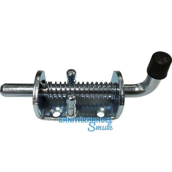 IBFM Federbolzen/Federriegel � 12 mm, Platte 75 x 40 mm, verzinkt