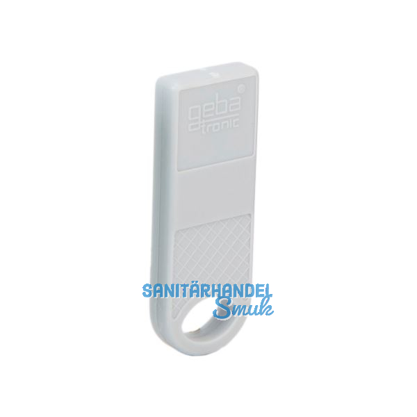 Transponder-Schl�ssel, 44 x 16 x 5 mm, Kunststoff grau