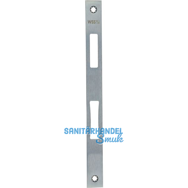 WSS Schlie�blech flach, 270 x 24 x 3 mm, Edelstahl