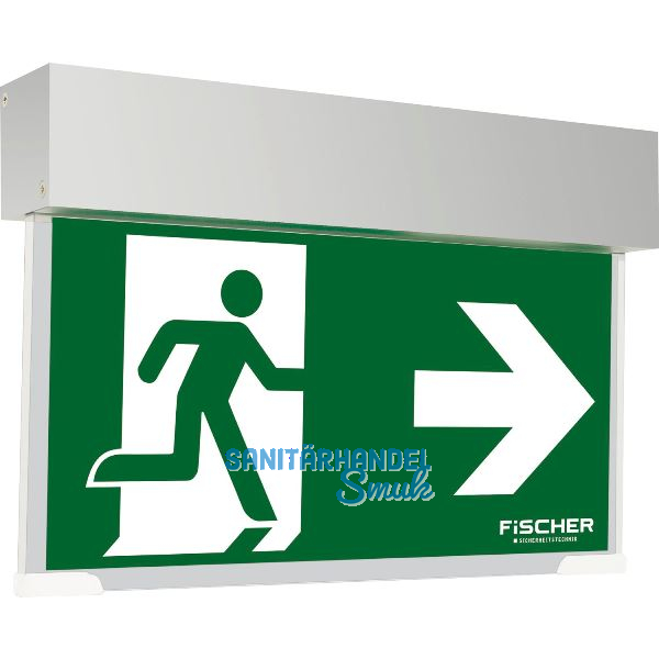 Rettungszeichenleuchte Notausgang gr�n, Geh�use wei�, 3h Laufzeit