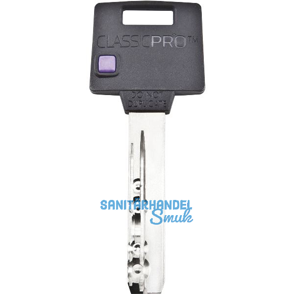 MUL-T-LOCK Schl�ssel f�r Container-Sicherungen, Profil Classic Pro 2945