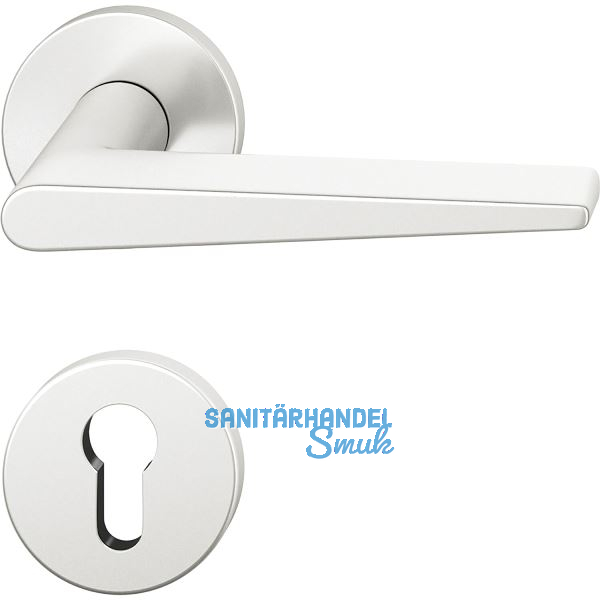 FSB Dr�ckergarnitur 12 1005 ASL auf Rosette PZ, Aluminium silber eloxiert