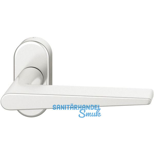 FSB Rahment�rdr�cker 09 1005 Hochhaltefeder B ovale Rosette Aluminium silber