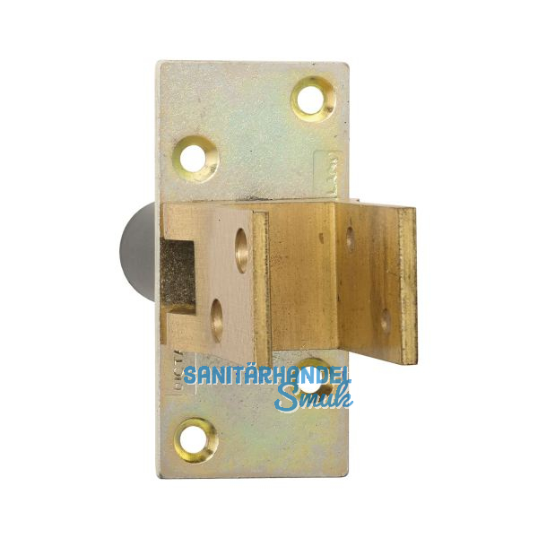 Pendelt�rbeschlag, Feststell. 90�, TS 19 - 24 mm, Messing poliert