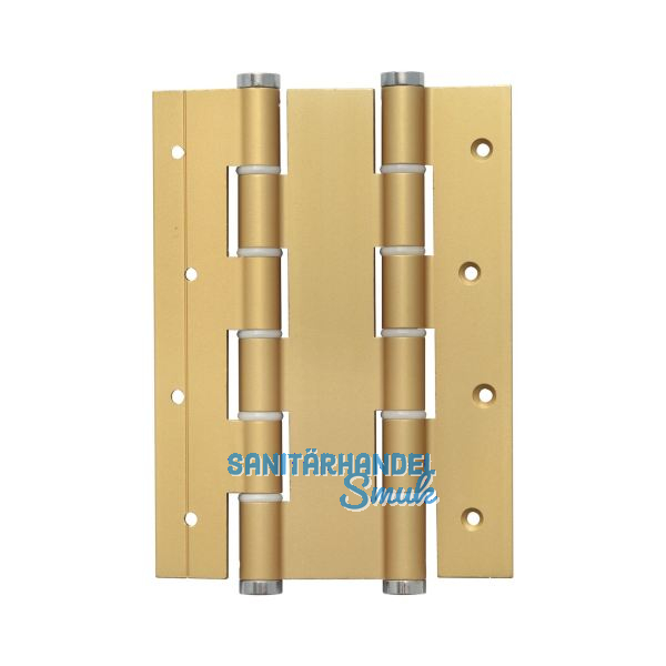 Pendelt�rband doppelt wirkend, Rollen � 16 mm, H�he 180 mm, Alu gold eloxiert