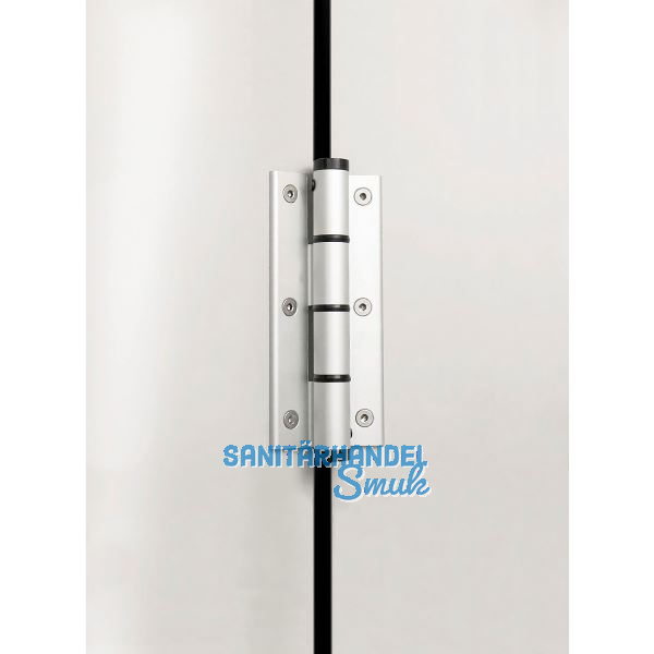 Federband SF 120 dreiteilig, Bandh�he 120 mm, Rollen � 16 mm,Alu silber eloxiert