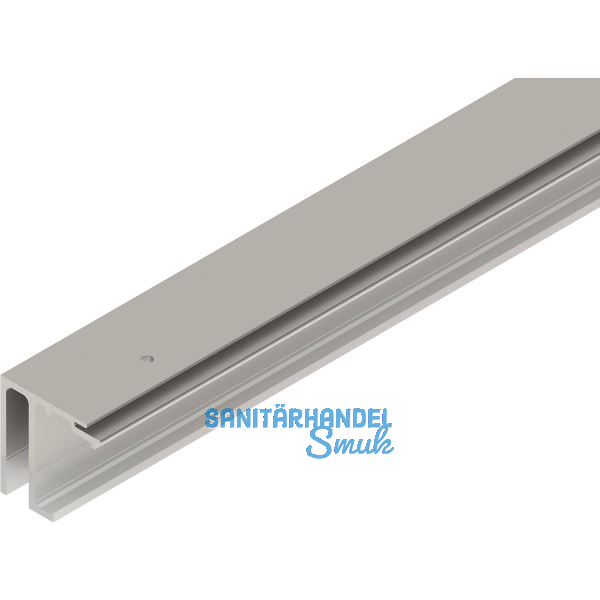 HELM GT-S 150 Laufschiene mit Seitenteil Deckenmontage auf Ma� Edelstahl-Effekt