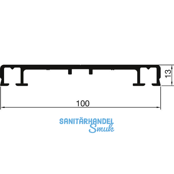 THYSSENKRUPP Syprotech Flachdeckschiene 100/13 ungelocht L=6000 mm Alu blank