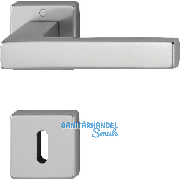 Dr�ckergarnitur AUSTIN - auf Rosette BB, Aluminium Edelstahl Effekt