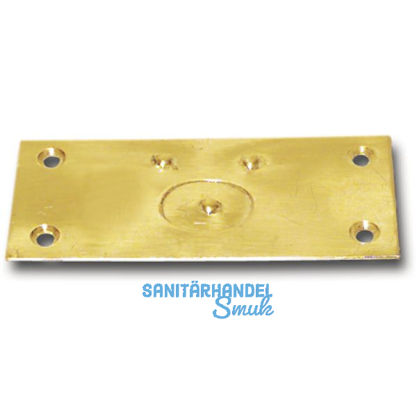 Riegelschlie�blech mit gefedertem Verschluss, 78 x 34 mm, Messing blank