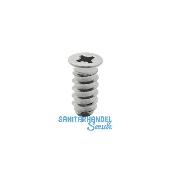 BLUM Systemschraube Senkkopf 6,0x20 mm, PZ, Stahl vernickelt