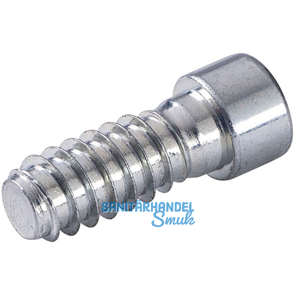 LAMELLO Cabineo 12 Schraube, 12 x 5 mm Stahl vernickelt, 500 Stk.