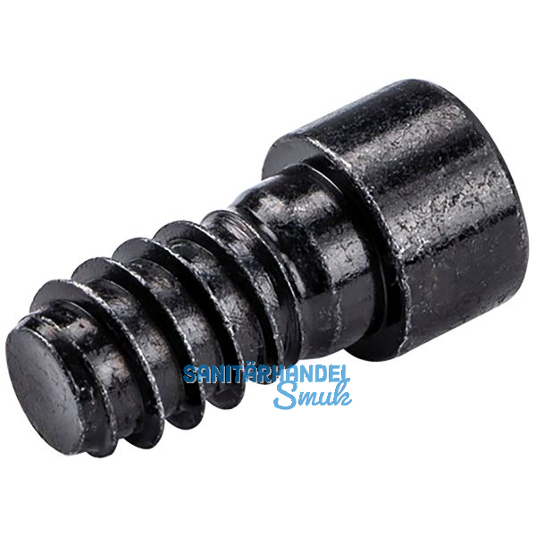 LAMELLO Cabineo 8 Schraube, 8 x 5 mm Stahl schwarz, 500 Stk.