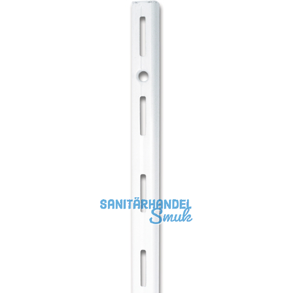 ELEMENT SYSTEM Classic Wandschiene 10000 2500 mm Stahl wei�