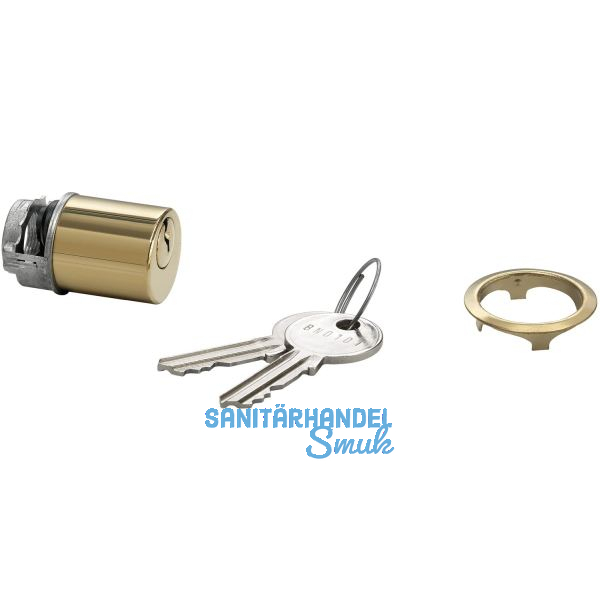 JUNIE 7638 ASS Schlie�einsatz Zylinder Sperre BN 0101, Messing poliert