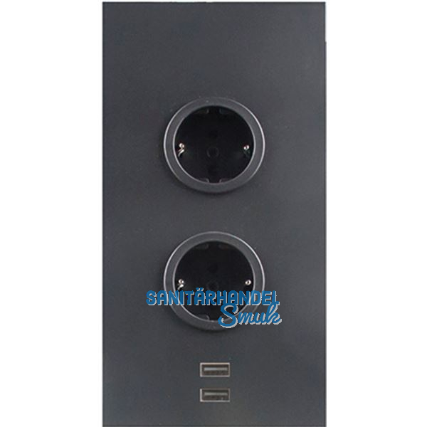CARESSI Steckdosenelement 2ST20 2 Schukosteckdosen, 2 Stk. USB, schwarz