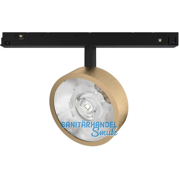 EGLO Line48V Spot Flat goldfarbig