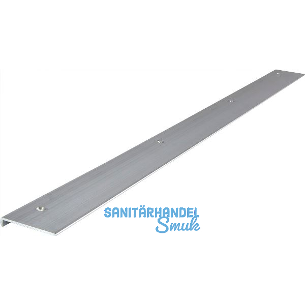ALUMIS Arbeitplatten-Abschlussprofil Anschrauben 600 mm Alu roh