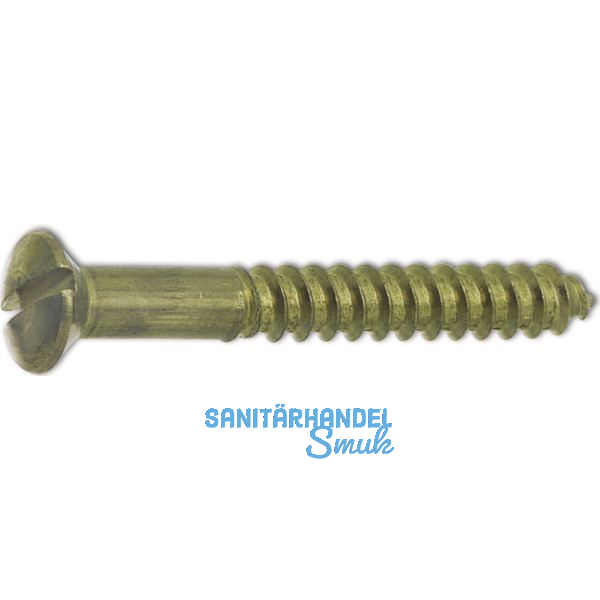 DIN95 6.0 x 50 Messing blank Holzschraube Linsensenkkopf mit Schlitz