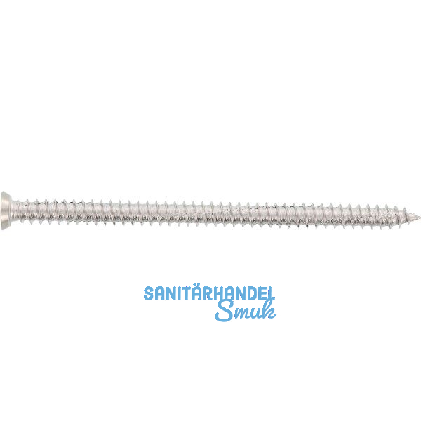 Rahmenanker 7.5x100 Senkkopf �11 Torx30 Edelstahl A2