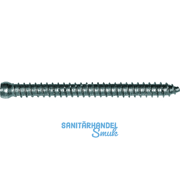 Rahmenanker 7.5x302 Zylinderkopf �7.5 Torx30 verzinkt