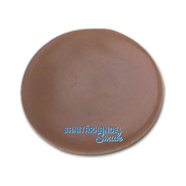 Abdeckkappe aus Kunststoff f�r Torx30 braun ~RAL8001