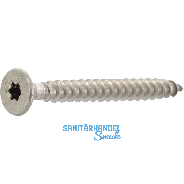 Spanplattenschraube Senkkopf 4.5x 20 Vollgewinde Torx 20 Edelstahl A2