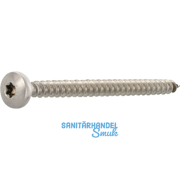 Spanplattenschraube Halbrundkopf 4.0x 45 Vollgewinde Torx 20 Edelstahl A2