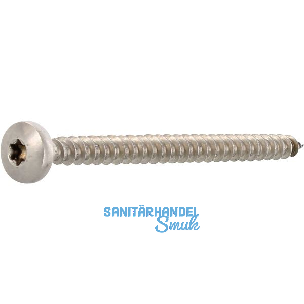 Spanplattenschraube Halbrundkopf 5.0x 20 Vollgewinde Torx 25 Edelstahl A2