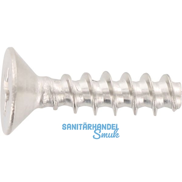 Thermoplastschraube Senkkopf 3.0x10 Edelstahl A2