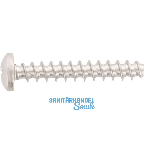Thermoplastschraube Rundkopf 3.0x10 Edelstahl A2