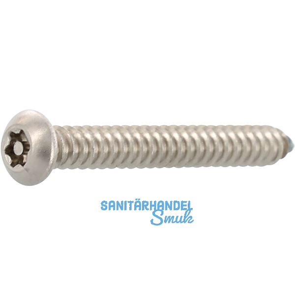 Sicherheitsschraube LKO 4.2x13 Blechschraube TX15 und PIN - Edelstahl A2