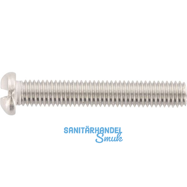 Einwegsicherheitsschraube - Halbrundkopf M 4x20 - Edelstahl A2