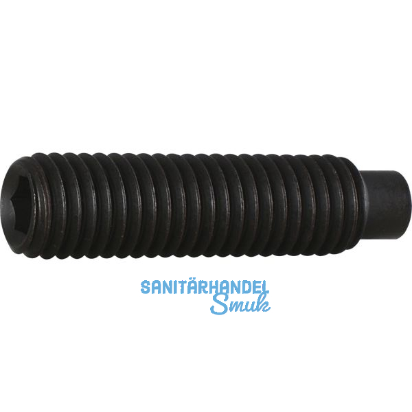 ISO4028 45H M 4x 16 blank Gewindestift mit Zapfen und Innensechskant (DIN915)