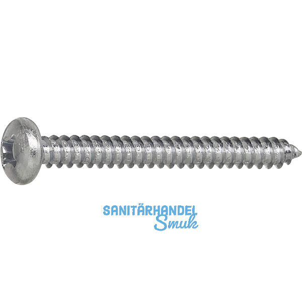 DIN7981C 2.9x 32 PH-Kreuzschlitz verzinkt Linsen-Blechschraube ~ISO7049
