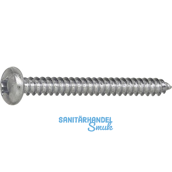 DIN7981C 5.5x 13 PH-Kreuzschlitz verzinkt Linsen-Blechschraube ~ISO7049
